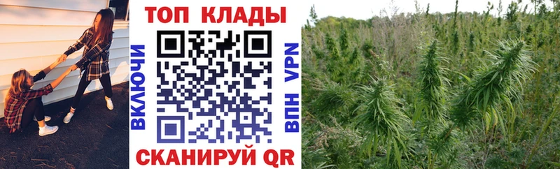 Где купить наркотики Нижний Тагил МАРИХУАНА  МЕФ  omg ТОР  ГАШИШ 