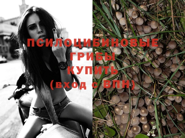 гидра Богородицк