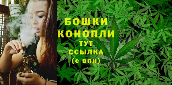 гидра Богородицк