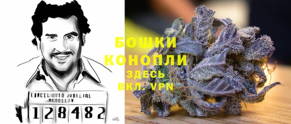гидра Богородицк