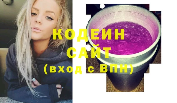 гидра Богородицк