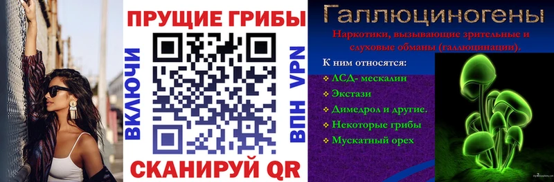 дарк нет клад  Нижний Тагил  Псилоцибиновые грибы GOLDEN TEACHER 
